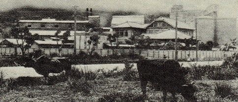 1939年的淺野水泥高雄工廠（筆者提供）