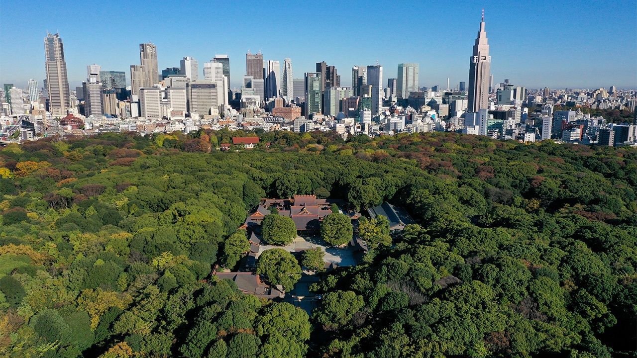 明治神宮的森林 由林學家和造園師打造的國家項目 Nippon Com