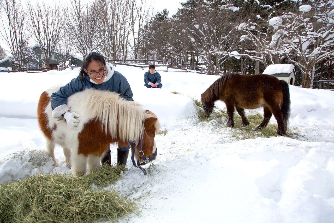 照護福祉科飼養的小老馬與學生互動