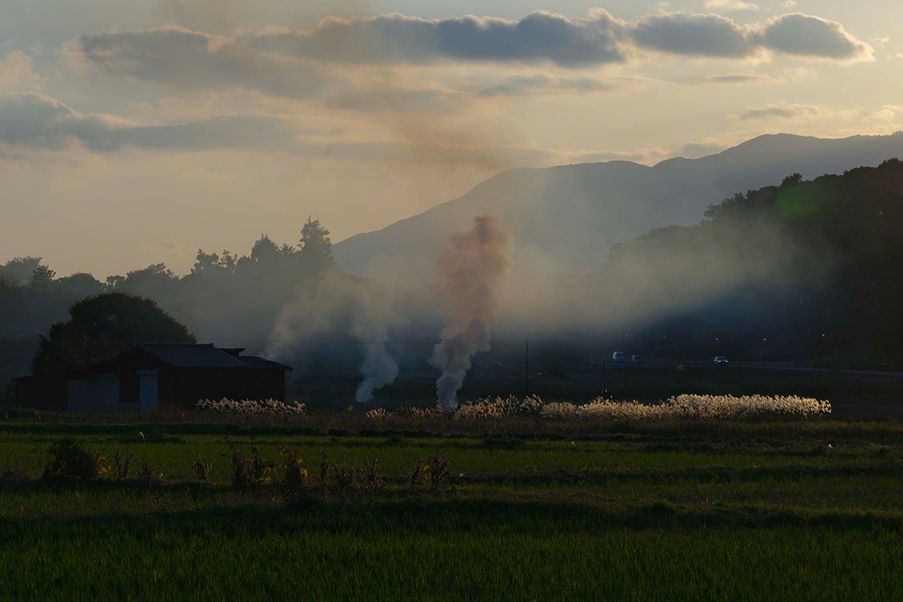 飛鳥寺門前一望無際的田園風光,依稀可見飛鳥時代(592-710年)的風貌