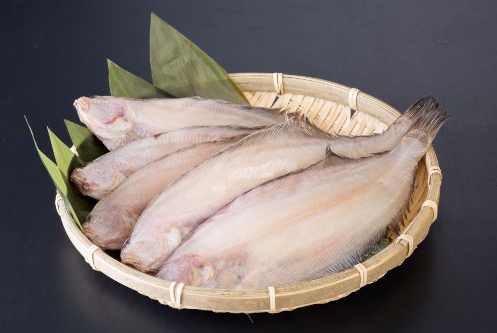 福井縣的比目魚一夜干(農林水產省 「日本傳統食圖鑑」)