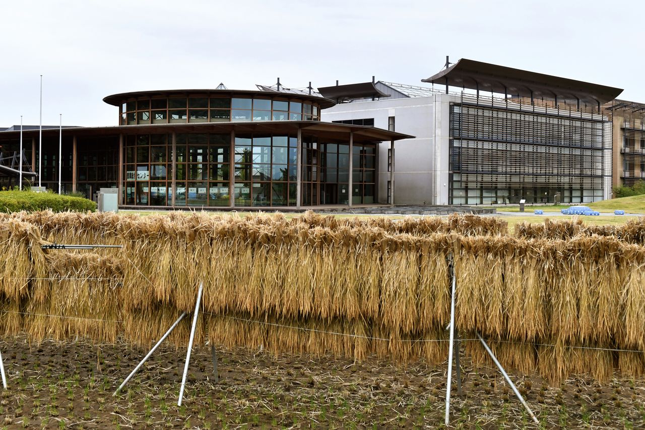 農業總合中心之外觀（攝影：仙波理）