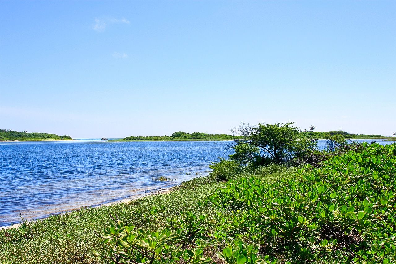 潟湖。過去的主要產業為採鳥糞與磷礦。當時此島為西澤吉治的私有財產，是個「企業島」。