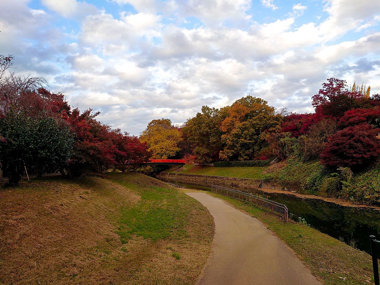 龍田川與龍田公園，楓葉才剛開始染紅