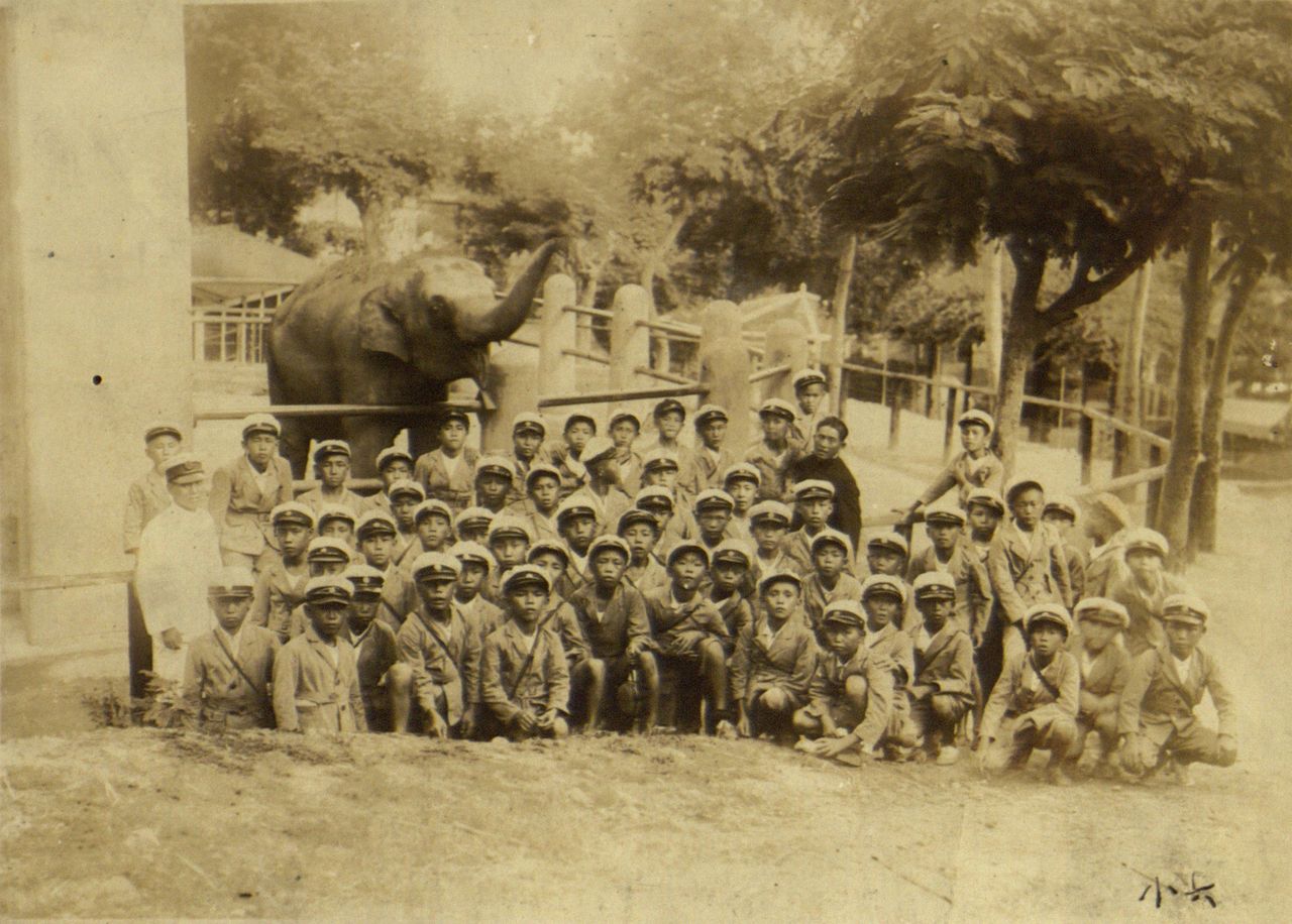 遠從花蓮來臺北畢業旅行的花蓮港小學校6年級生和臺北動物園的大象「瑪小姐」，1934年（吳宏仁／臺北市立動物園百年史）