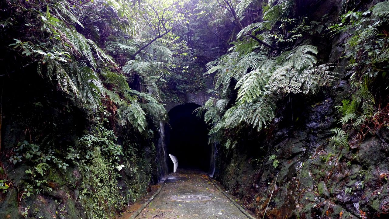 清國時期的鐵路遺跡不多。位於基隆近郊的獅球嶺隧道已獲指定為古蹟