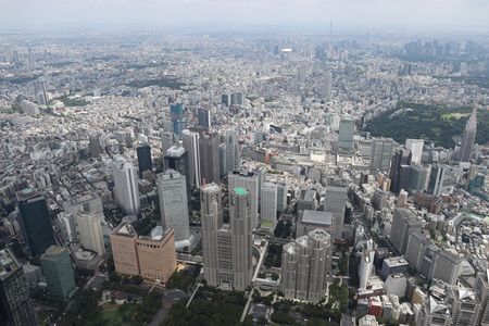 東京都廳(中央下)與都心的街道