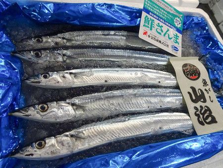 首次進貨到豐洲市場的秋刀魚＝21日上午、東京都江東區