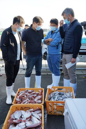 國際原子能總署調查小組正在檢查作為樣本收集的漁業產品＝19日上午、福島縣磐城市