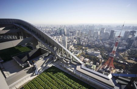 從「森JP塔」屋頂看到的東京鐵塔等＝20日上午、東京都港區