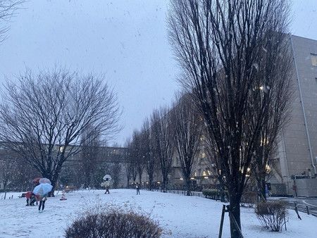 埼玉縣政府被白雪覆蓋＝5日下午、埼玉市