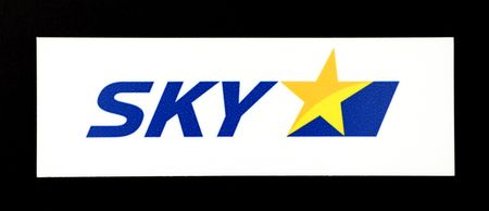 天馬航空空司的商標