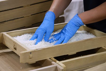 釀造麴菌的釀酒師(藏人)=11月21日、神奈川縣海老名市泉橋酒造