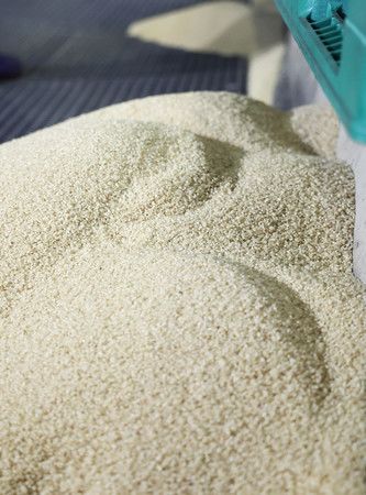 從碾米廠袋子中取出的政府庫存米=18日下午、埼玉縣内