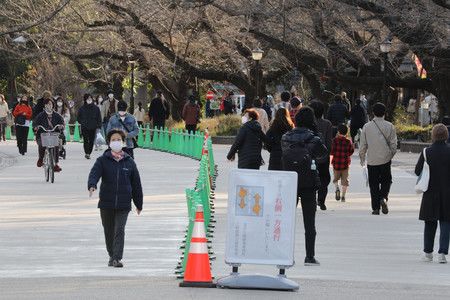 在上野公園的櫻花路設置的人潮分流看板，讓來往遊客避免「三密」狀態來單側通行。＝23日