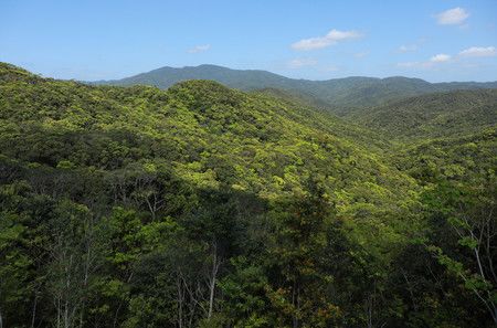 奄美群島國立公園內的湯灣岳山頂與新緑之森。也是登錄世界自然遺產的候補地區之一＝2020年3月20日、鹿兒島縣宇檢村