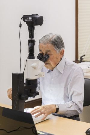 在位中為了研究鰕虎魚而用顯微鏡窺視樣本的上皇明仁＝2018年7月26日、皇居・生物學研究所（宮内廳提供）