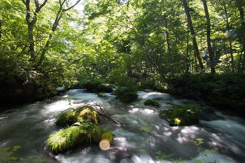 ●奧入瀨溪流