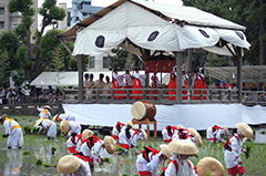 御田植神事