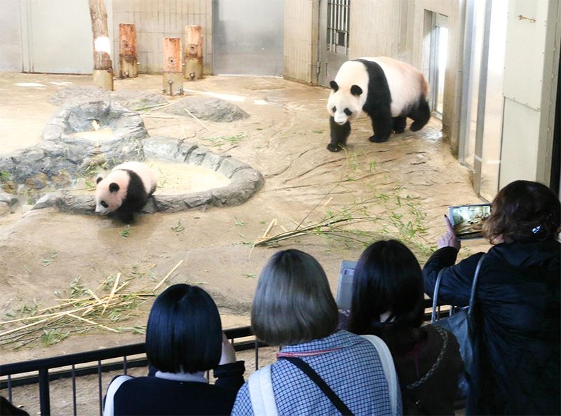 会議 シャンシャン