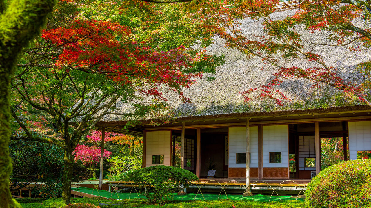 紅葉があでやかな日本庭園 九年庵 佐賀の自然 景観スポット 2 Nippon Com