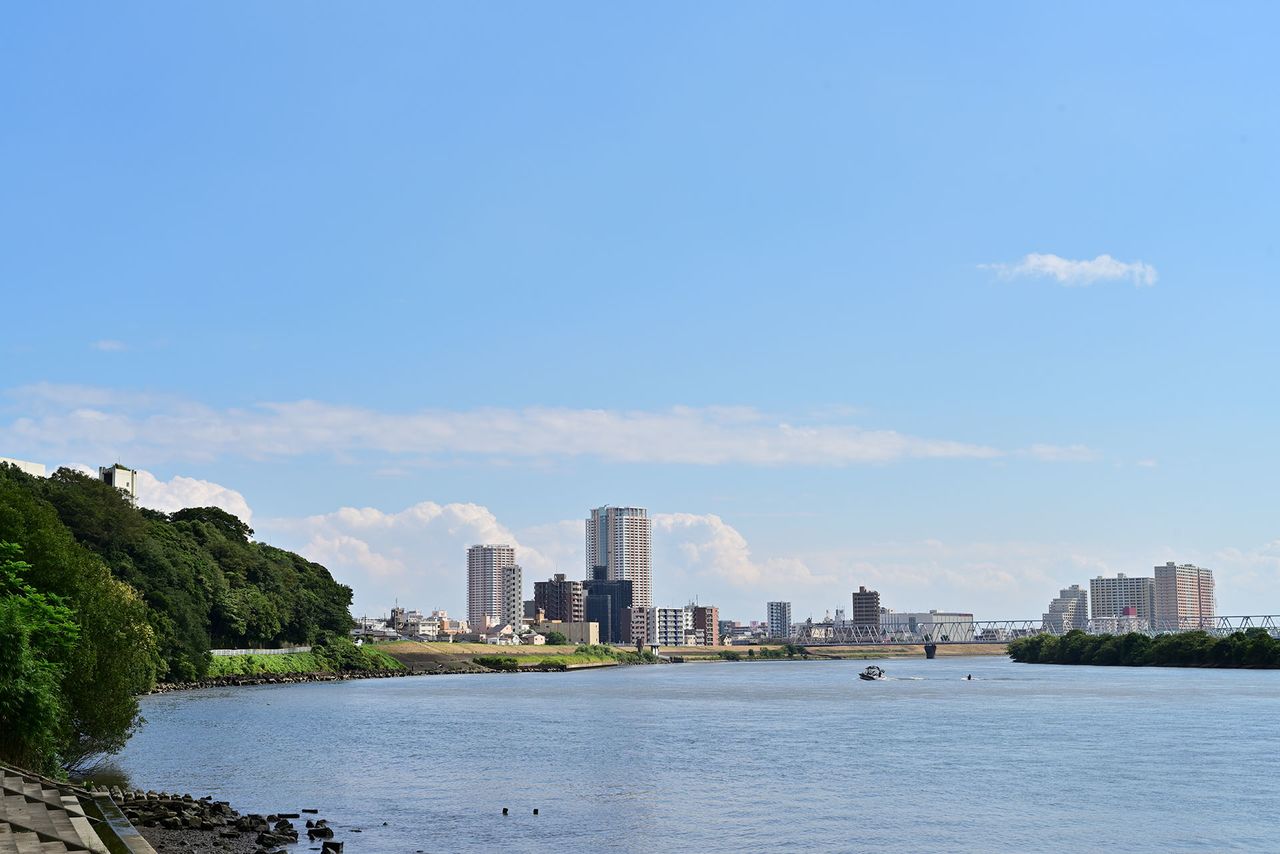 里見公園下の川岸から下流側を望むと、江戸川が名所江戸百景に似た構図となる。鉄橋は京成本線のもの