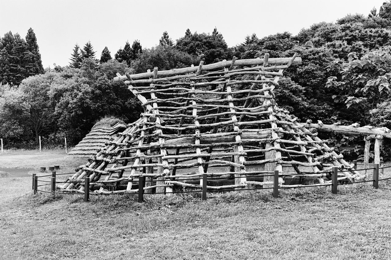 大船遺跡敷地内に復元した竪穴式住居(2021)