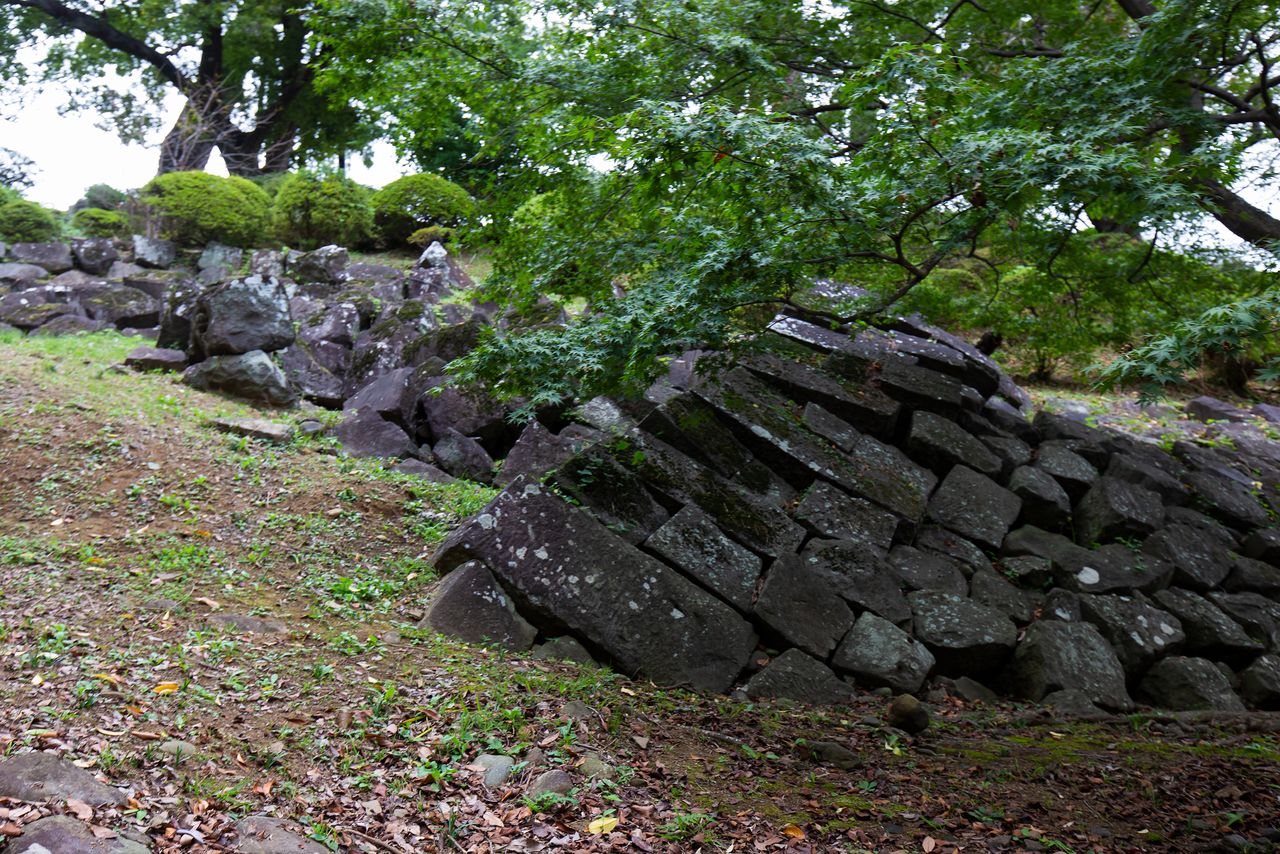 本丸の南側には、関東大震災で崩れた石垣がそのまま保存してある