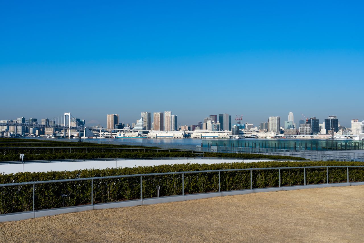 広大な市場内で歩き疲れたら、休憩に最適なのが屋上緑化広場。東京タワーやレインボーブリッジが見渡せる