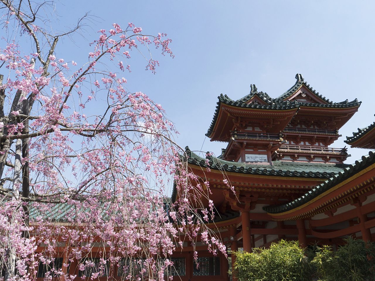 神苑の入り口となる、国の重要文化財・白虎楼を桜の花が飾る