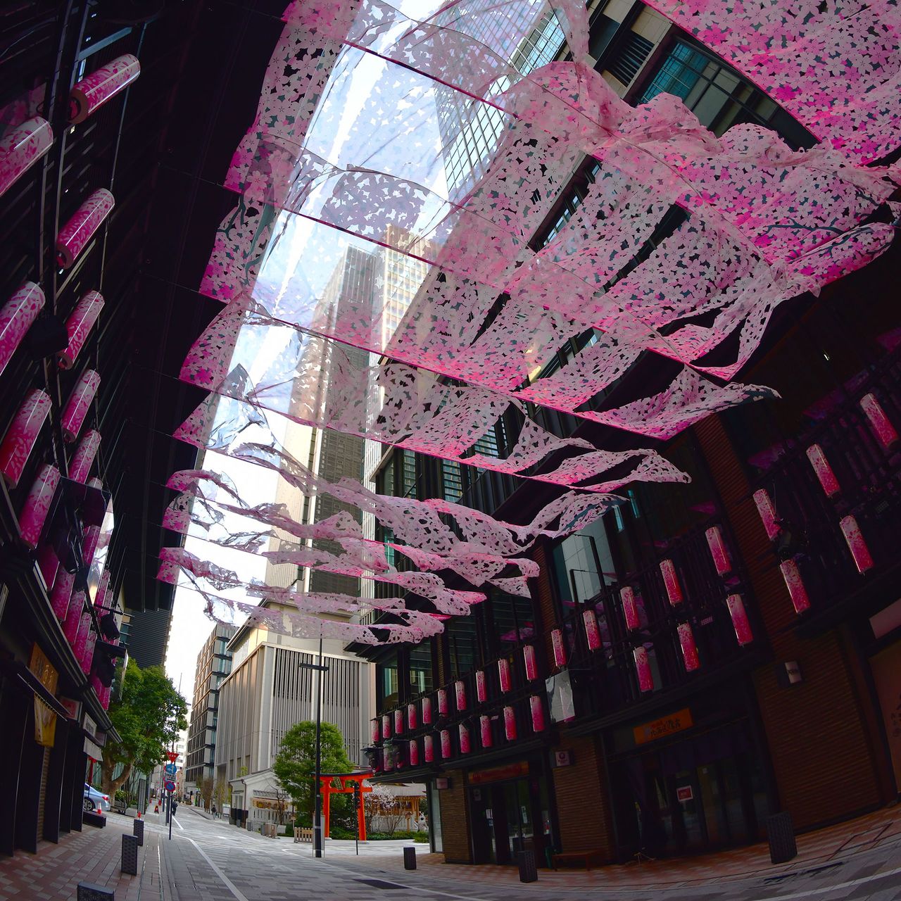 3月のコレド室町側の江戸桜通りは、桜色の飾り付けが施されていた