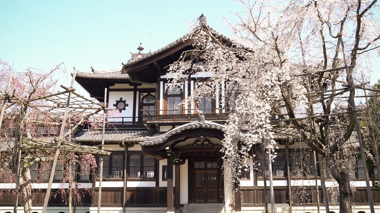 奈良国立博物館の仏教美術資料研究センターとして使用されている旧奈良県物産陳列所。国の重要文化財に指定される近代和風建築に、桜が趣を添える