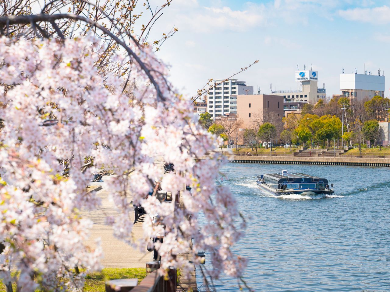 春には川沿いを美しい桜並木が飾る