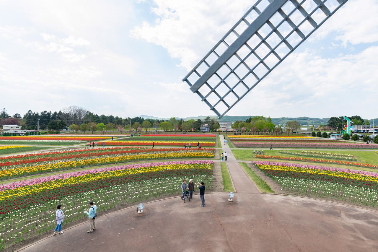 オホーツクの花名所 かみゆうべつチューリップ公園 北海道湧別町 Nippon Com