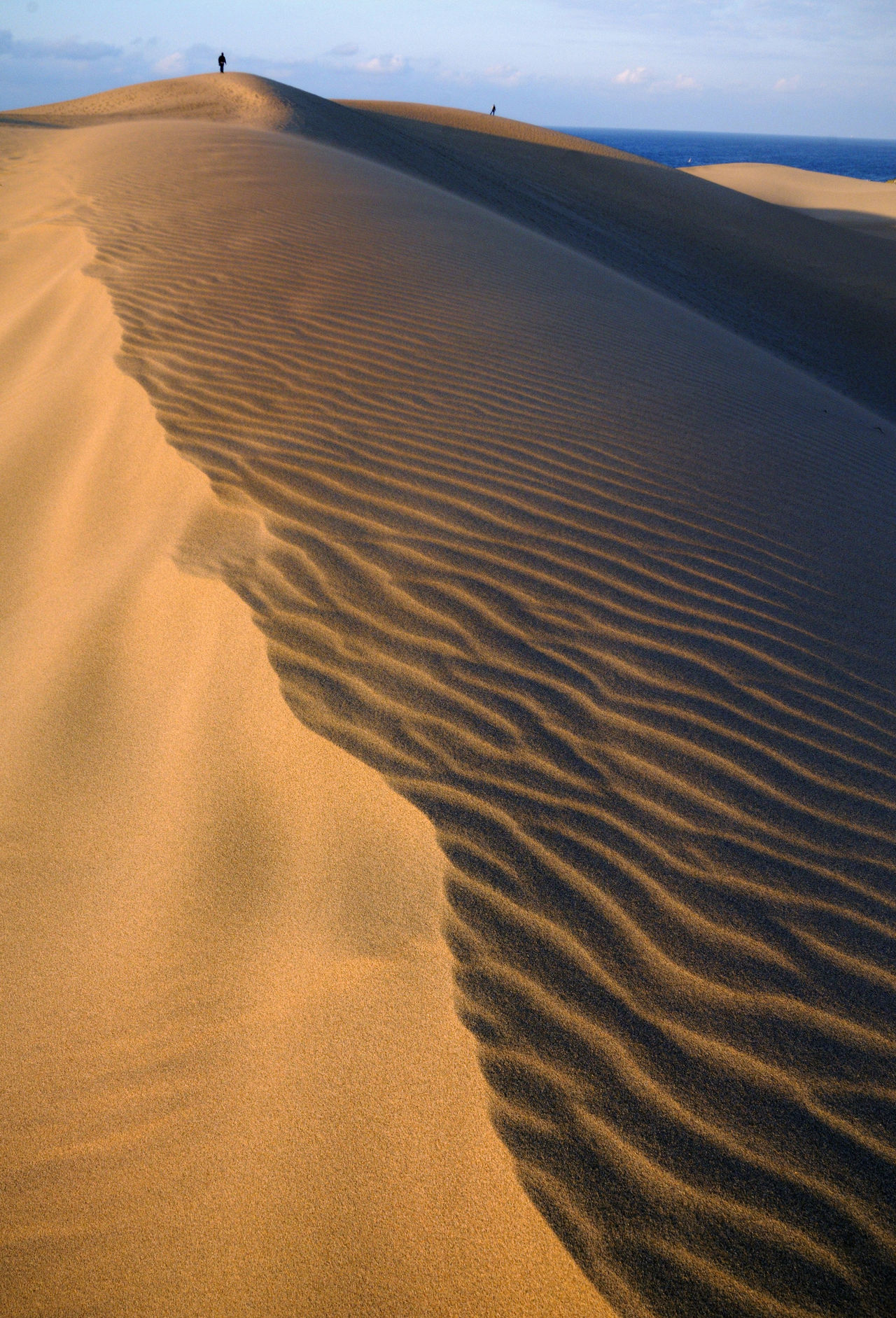 風と砂が織りなす神秘的な光景 鳥取砂丘 鳥取の自然 景観 1 Nippon Com