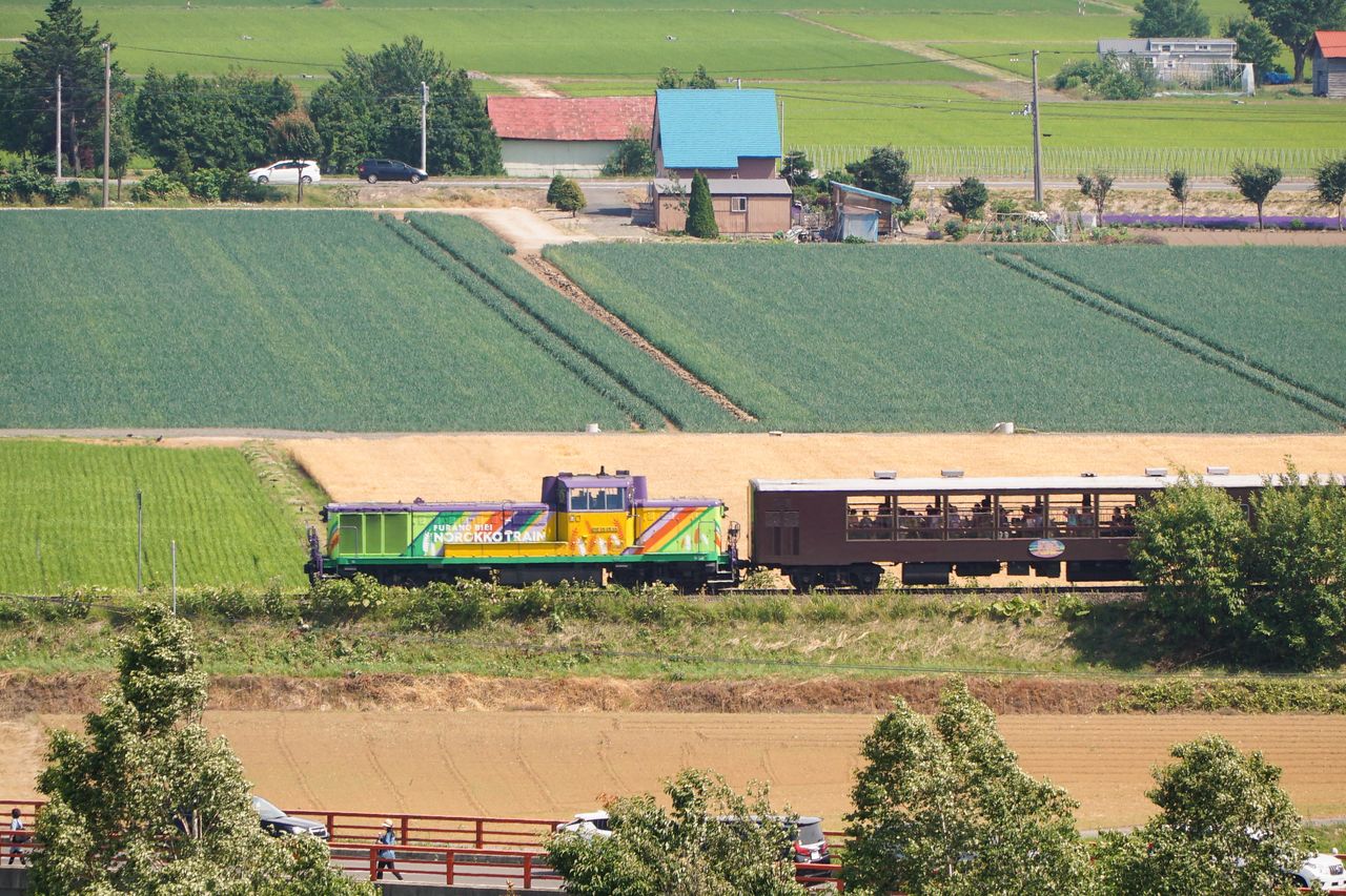 のどかな田園風景を満喫できるＪＲ富良野線の臨時列車「富良野・美瑛ノロッコ号」