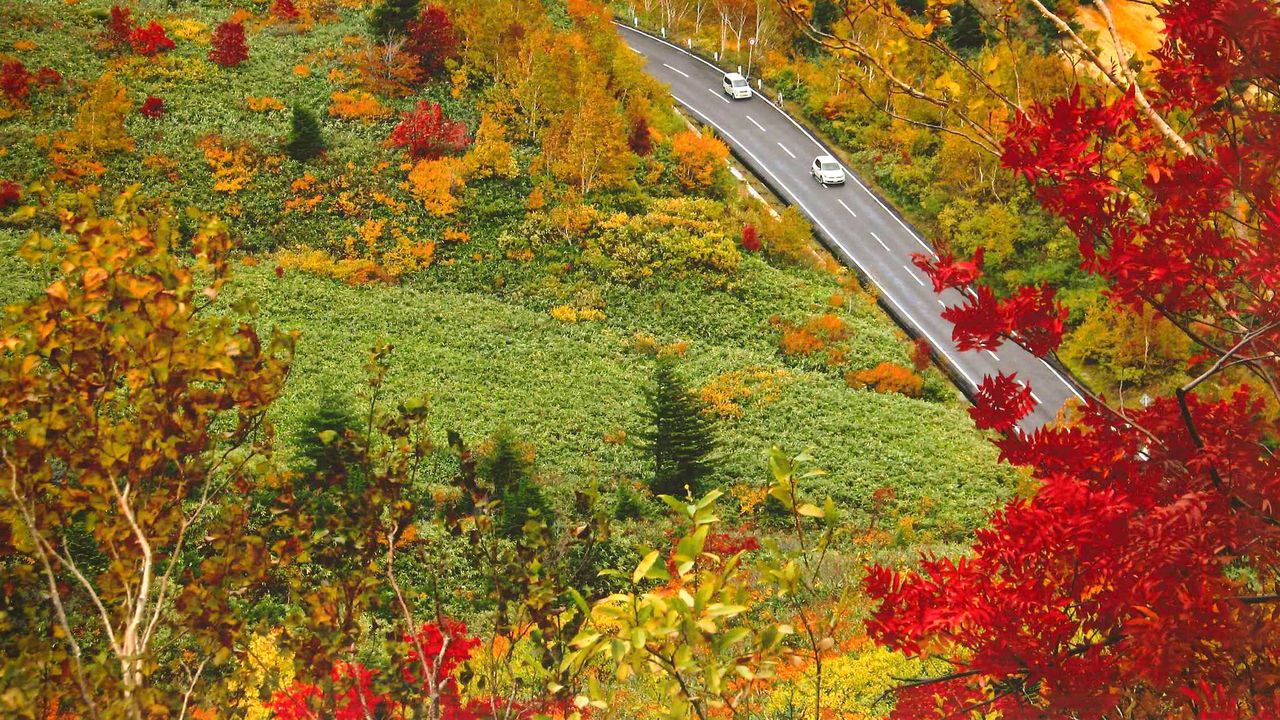 東北の厳選紅葉スポット 青森 岩手 秋田編 Nippon Com