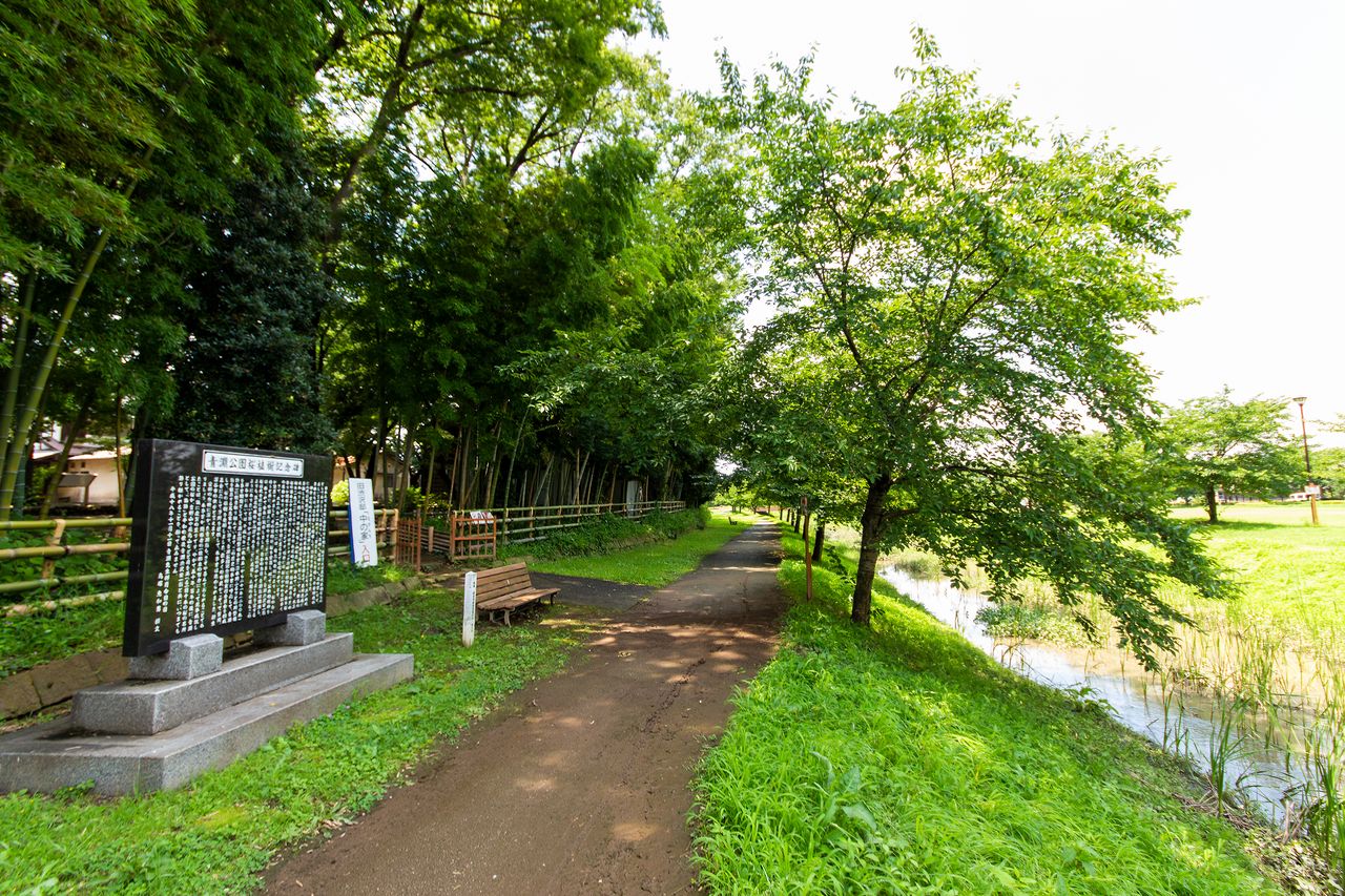 青淵公園から「中の家」の裏庭に直接入ることができる。目印となるのは、「青淵公園桜植樹記念碑」