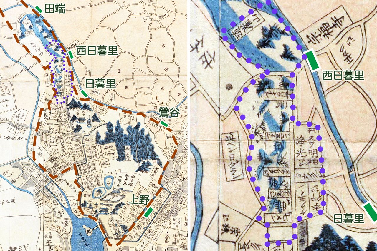 『弘化改正御江戸大絵図』（1847年刊、国会図書館蔵）より。左は上野寛永寺から田端駅付近までを切り抜いた。赤い破線が高台で、緑の四角は現在のJR山手線の駅。右図の紫の点線は『江戸名所図会』の「日暮里（ひぐらしのさと）惣図」に描かれた場所。中央左に「此ヘン日グラシ」の表記が見える