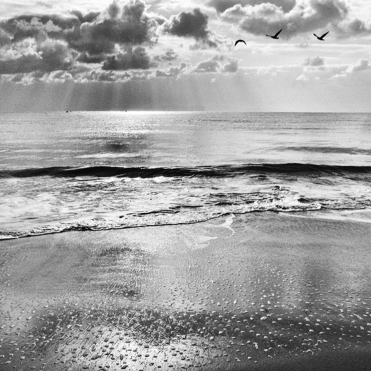 朝、雲間から陽 大森浜(2008)