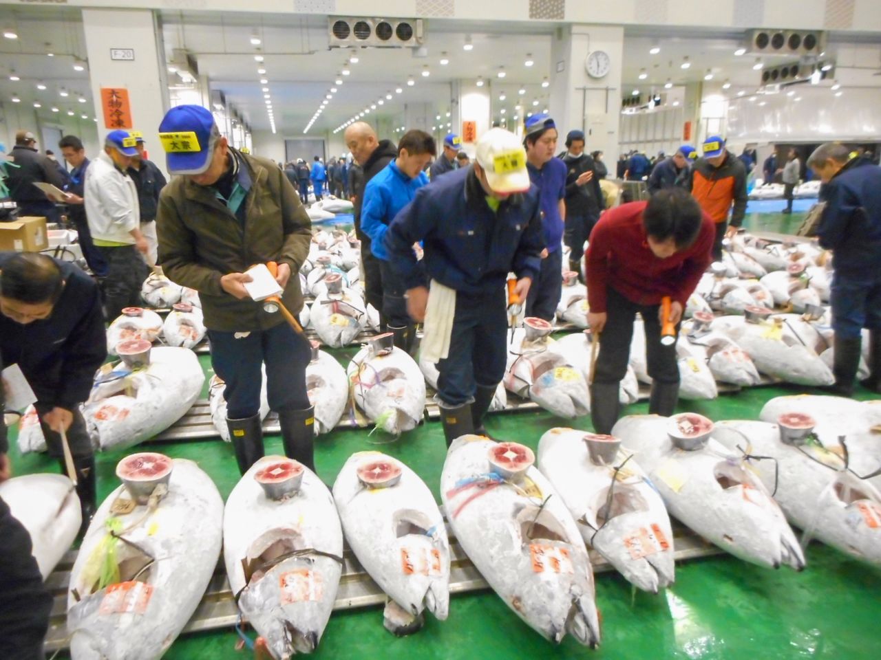 豊洲でマグロの競り値はこう決まる 高値は天然 はえ縄の大型 Nippon Com