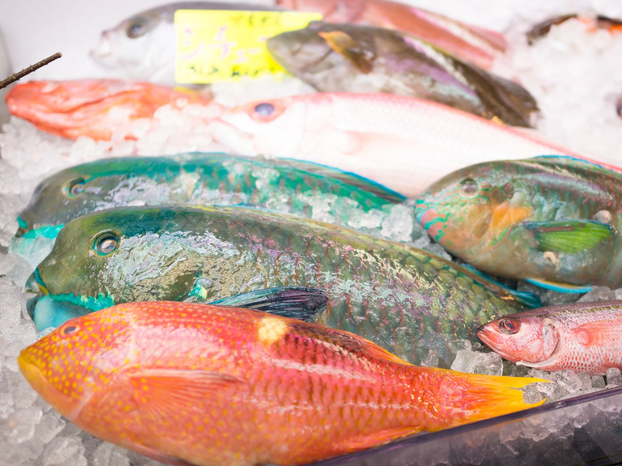 カラフルな沖縄産の魚を、その場で調理してもらって食べることもできる牧志市場