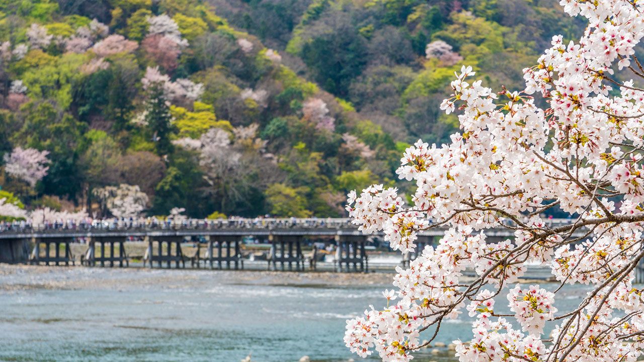 さくら名所100選 京都 嵐山 Nippon Com