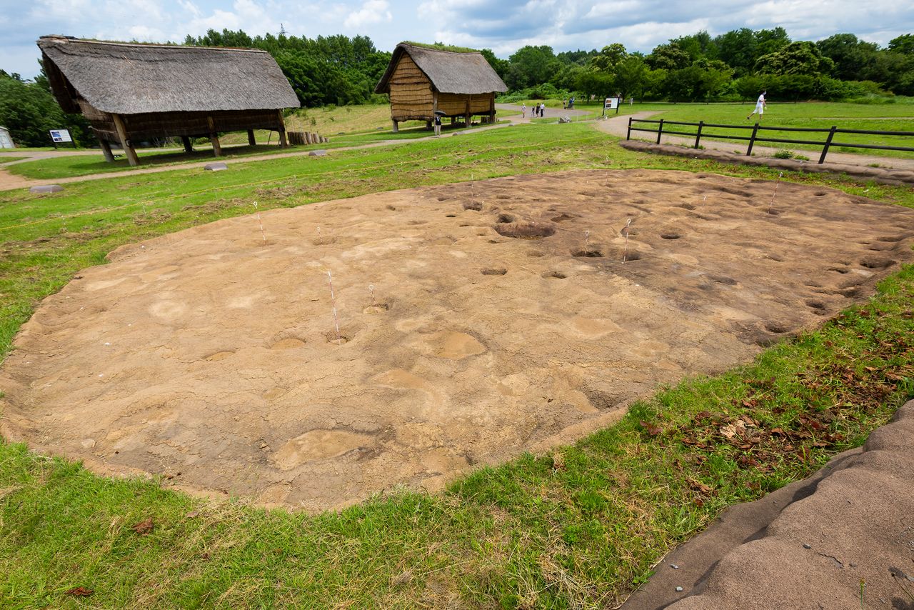 集落の中央付近で見つかった大型竪穴建物跡。集会所や共同作業所として使われたと推測される
