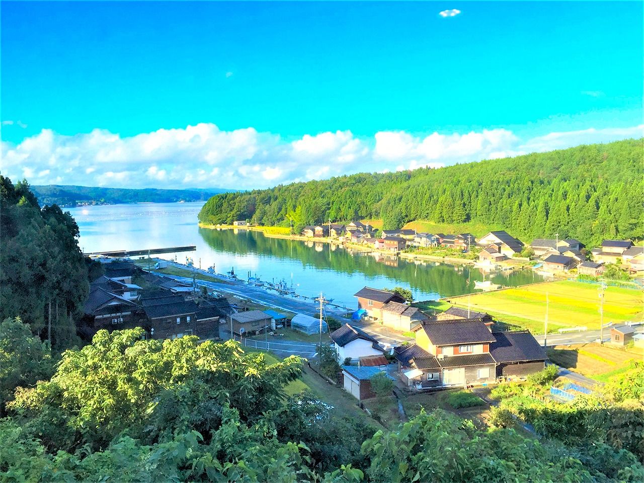 柔らかな日を浴びて入り江にたたずむ深浦漁港