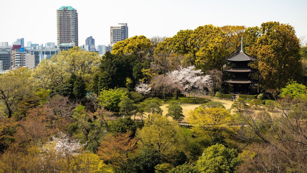 都会のオアシス を守り続ける ホテル椿山荘東京 山県有朋が愛した名庭園を散策する Nippon Com