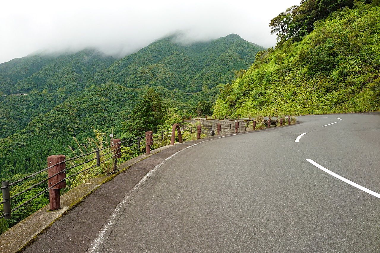 白谷雲水峡への山道 ©李琴峰