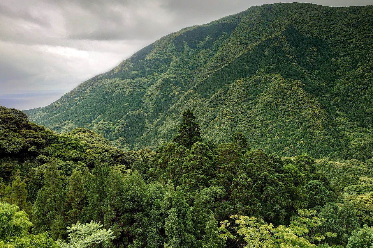 壮観な山々 ©李琴峰