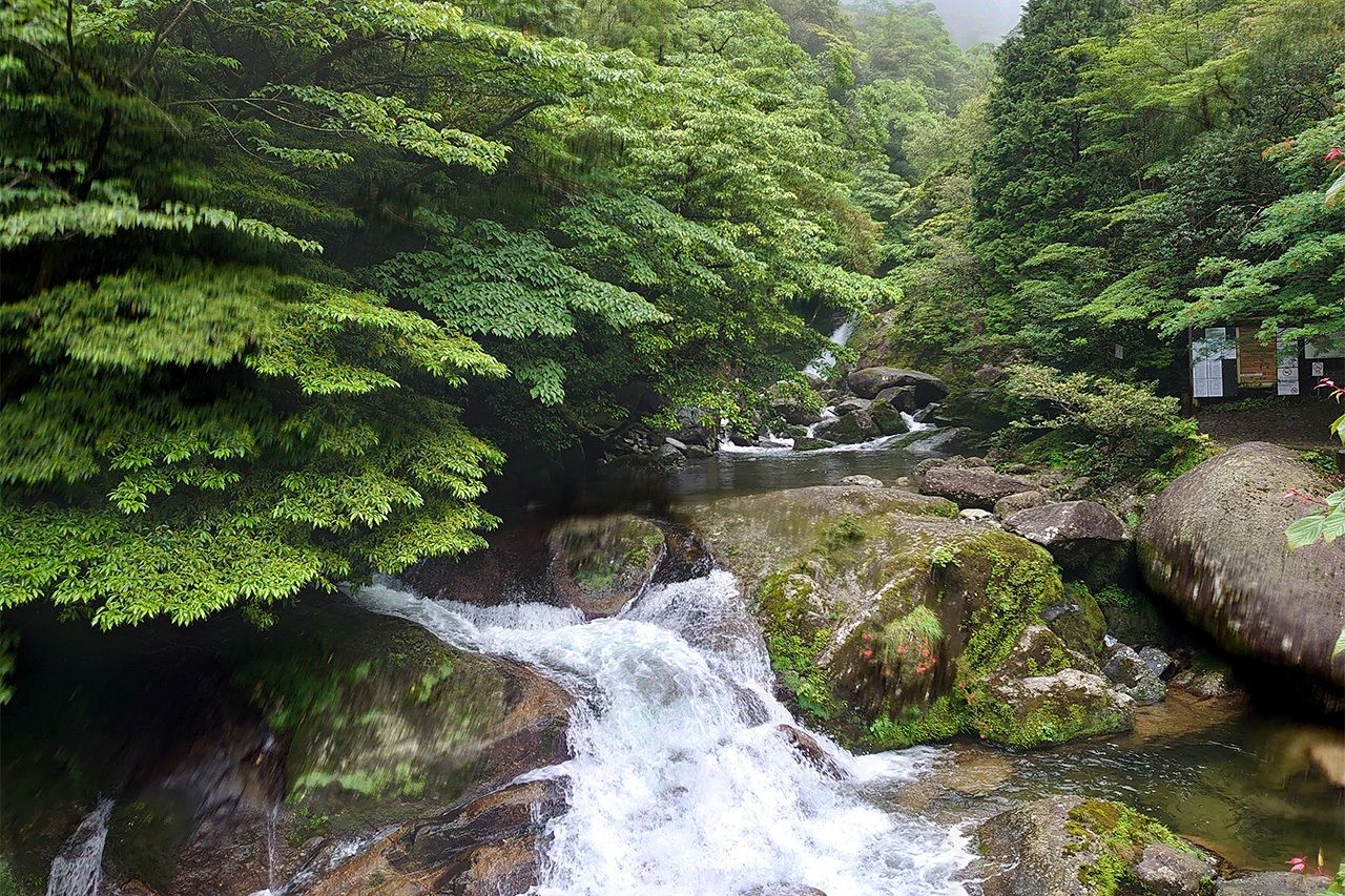 白谷雲水峡 ©李琴峰
