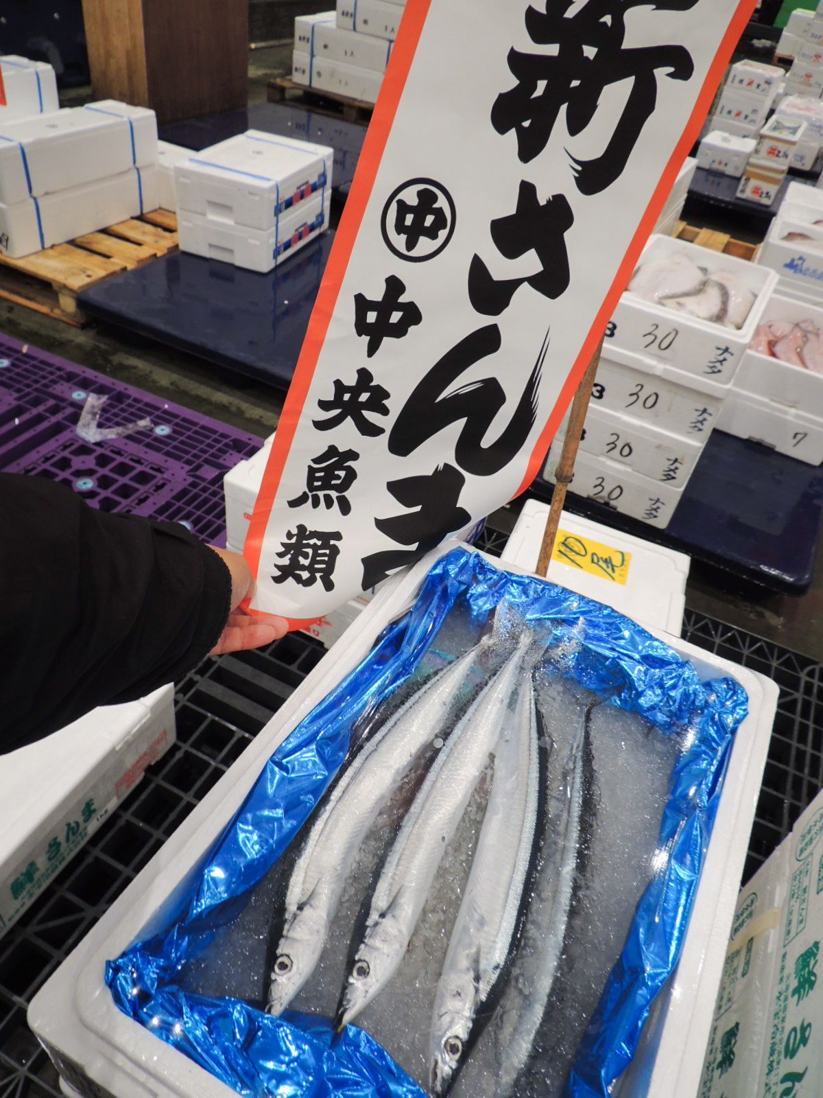 豊洲市場に今シーズン初入荷した北海道産のサンマ。卸値は過去高値を付けた　写真提供：市場関係者